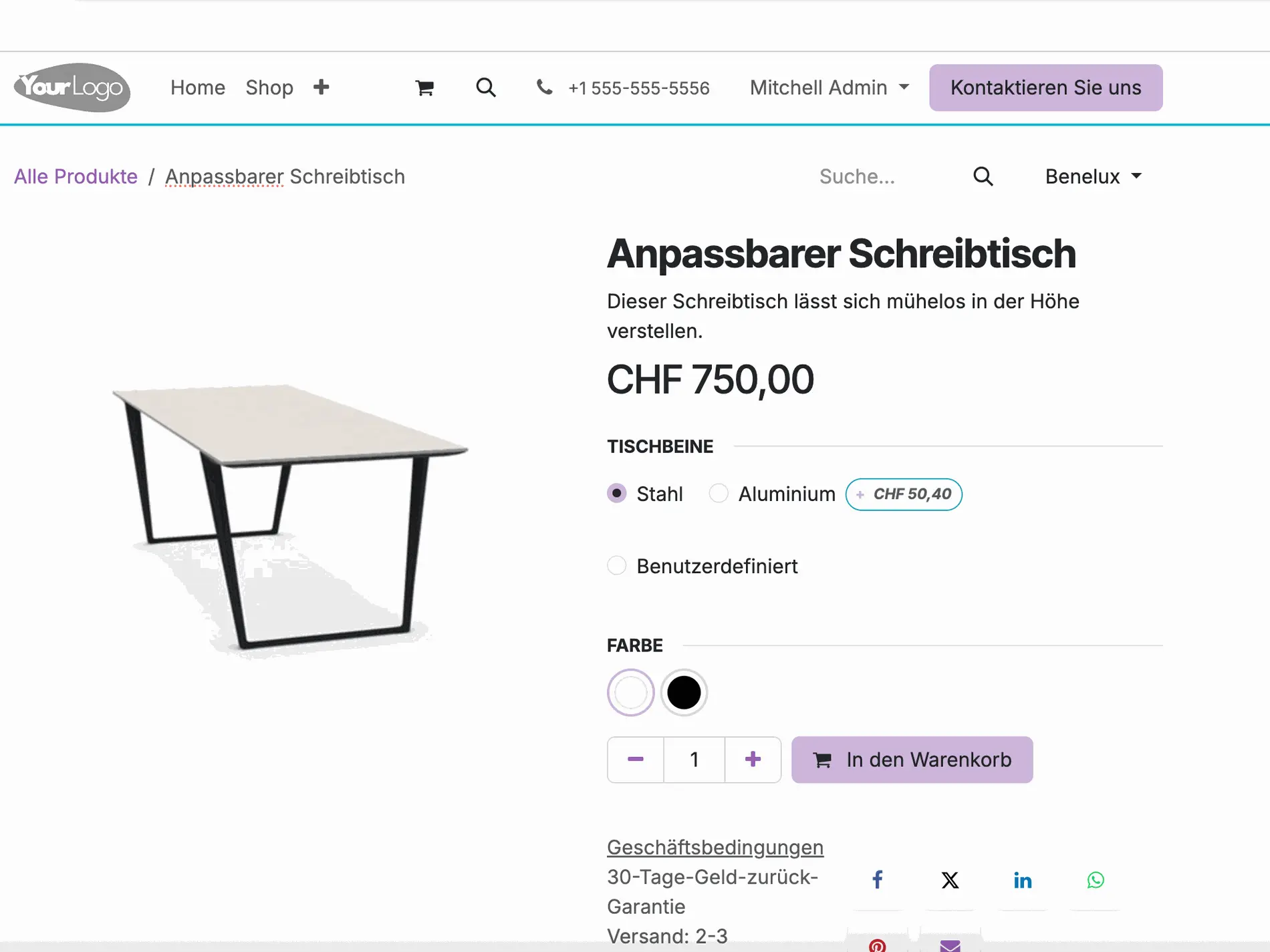 Odoo E-Commerce Schweiz